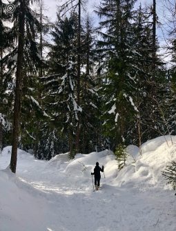 randonnée de l'hotel chalet jeu de paume Chamonix mont blanc