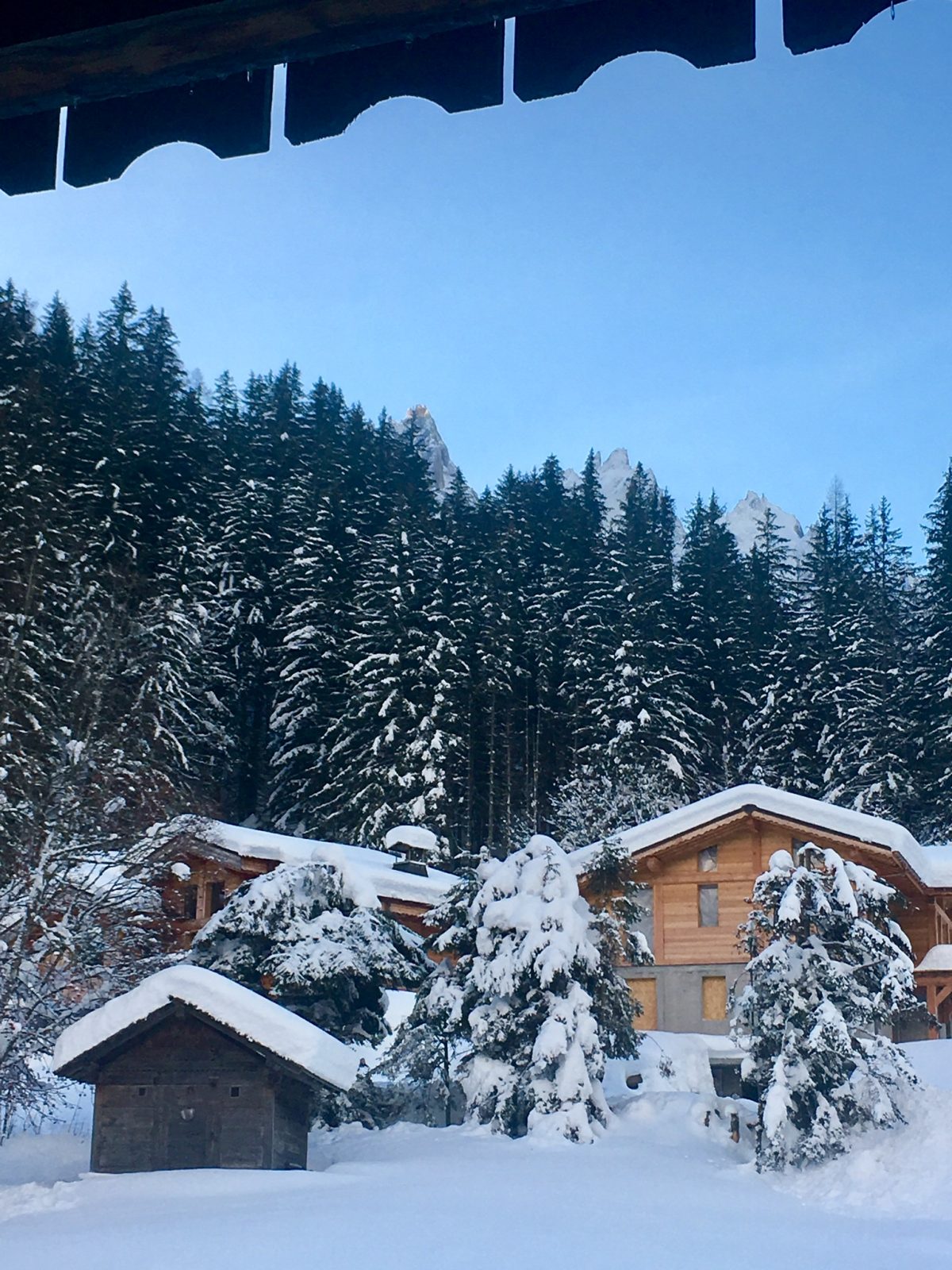 garden of the chalet hotel jeu de paume Chamonix mont blanc