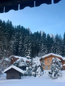 jardinj de l'hotel chalet jeu de paume Chamonix mont blanc