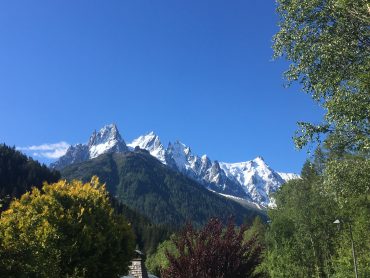 Les fleurs et paysages de montagne de la vallée de Chamonix Mont Blanc