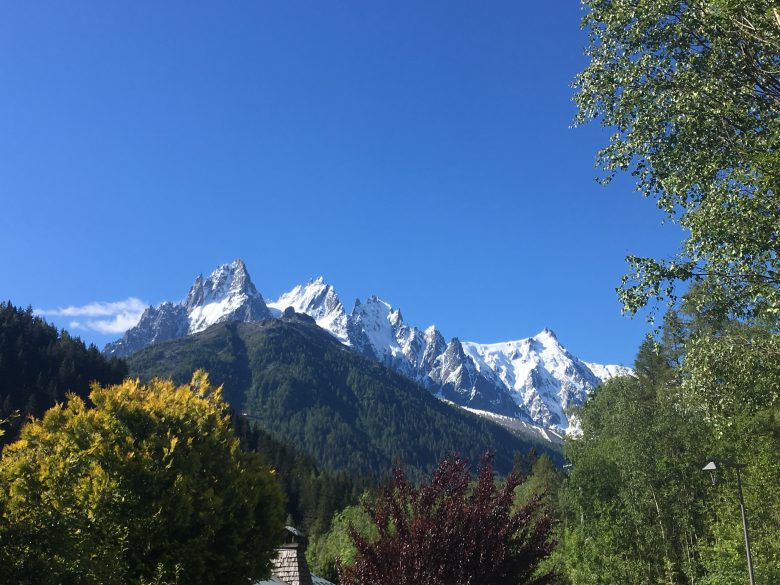 The flowers and mountain landscapes of the Chamonix Mont Blanc valley