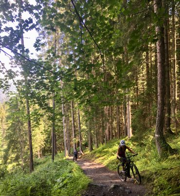 mountain bike cycling on the paths in the forest descending from Lavancher from the hotel du jeu de paume